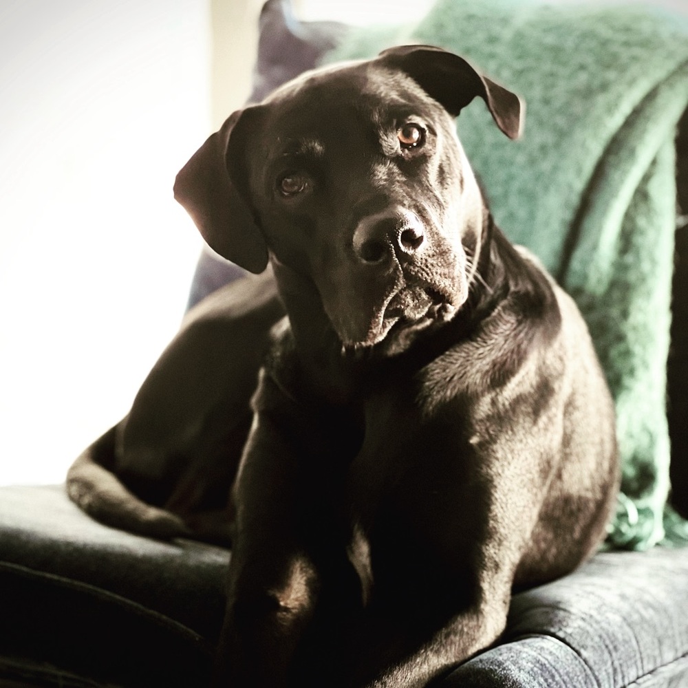 Meet your Posher, Cynthia